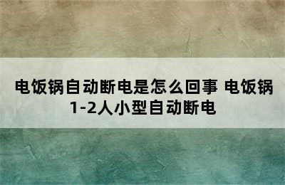 电饭锅自动断电是怎么回事 电饭锅1-2人小型自动断电